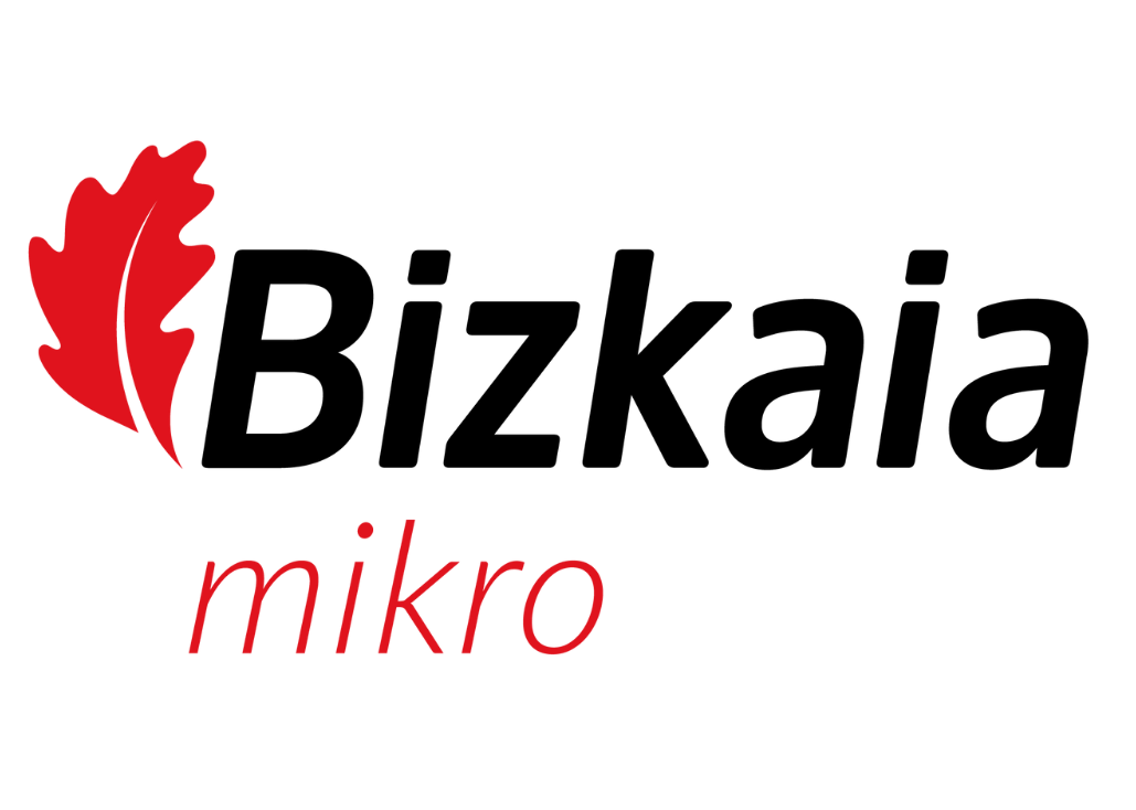 Bizkaia Mikro